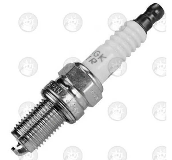NGK SPARK PLUGS Zündkerzen für BMW K 1300 S ABS 2009-2016
