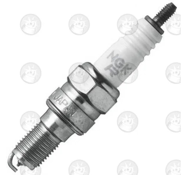 NGK SPARK PLUGS Zündkerzen für HONDA CBR 600 F 1991-2013