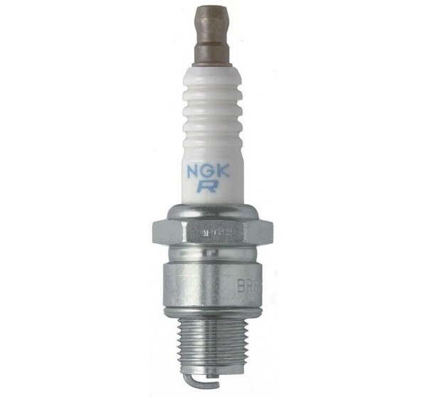 NGK SPARK PLUGS Zündkerzen für YAMAHA BRAVO 250 1982-2011