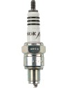 Iridium IX Zündkerze