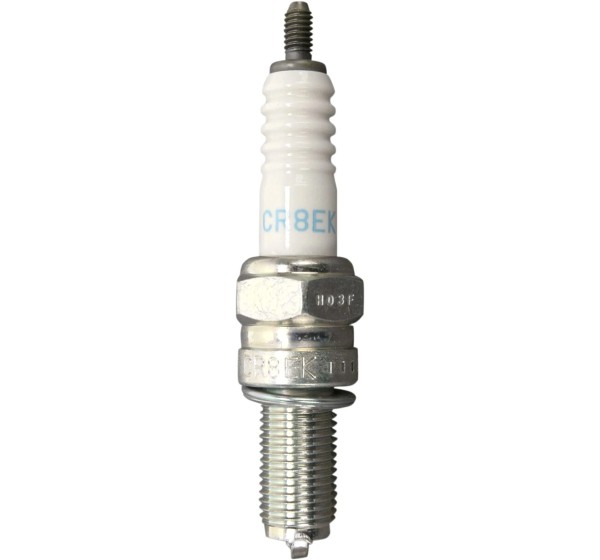 NGK SPARK PLUGS Zündkerzen für TRIUMPH TIGER 1050 ABS 2007-2020