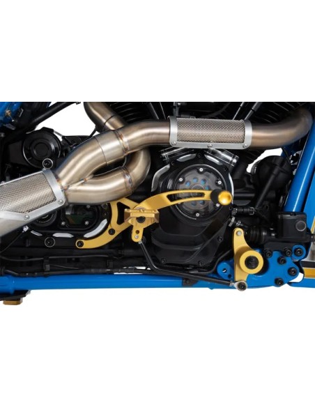 PERFORMANCE MACHINE (PM) Zurückverlegte Fußrastenanlage - Detailansicht