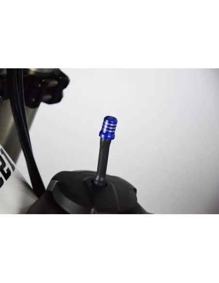 SCAR RACING Tankdeckel - Detailansicht