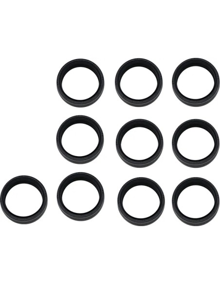 JAMES GASKET Federung vorne für Harley Davidson FXDB 1584 2007-2013