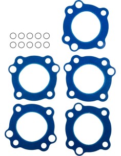 Zylinderkopfdichtung/O-Ringe