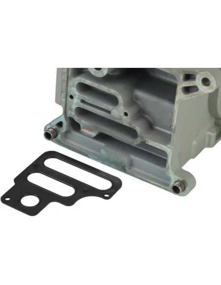 JAMES GASKET Dichtungen & Öldichtungen für Harley Davidson FLHTCUTG 1690 2009-2016