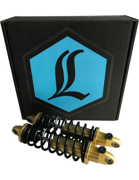 LEGEND SUSPENSION Federung hinten - Einbaubeispiel