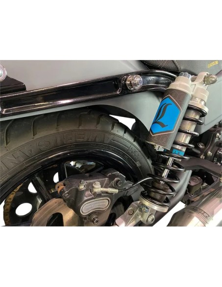 LEGEND SUSPENSION Federung hinten - Detailansicht