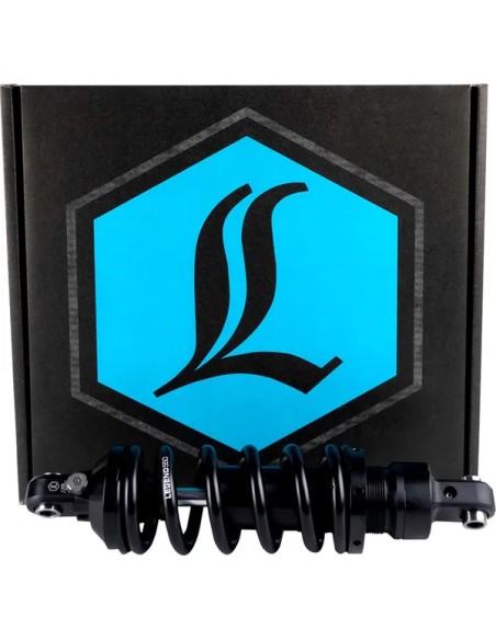 LEGEND SUSPENSION Federung hinten - Detailansicht