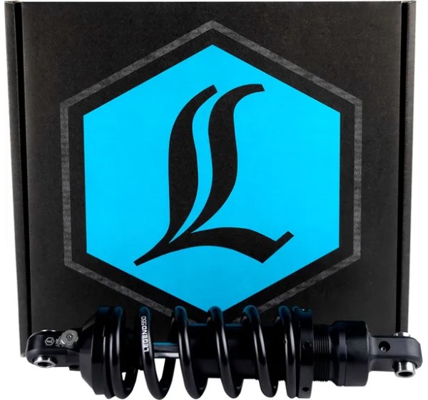 LEGEND SUSPENSION Federung hinten - Detailansicht