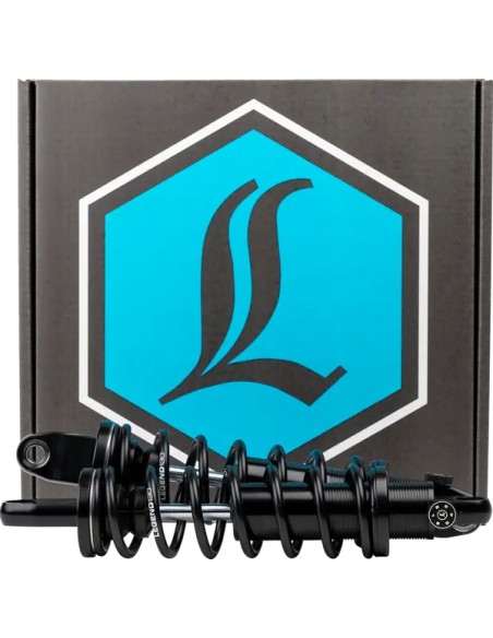 LEGEND SUSPENSION Federung hinten für Harley Davidson FLHTCUTG 1868 ABS 2020-2025