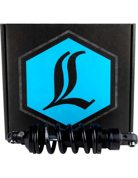 LEGEND SUSPENSION Federung hinten - Detailansicht
