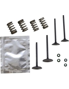 Ventil-Kit