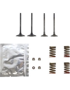 Ventil-Kit