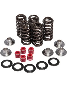 Leichtes Racing-Ventilfeder-Kit