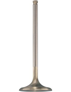 White Diamond® Motorventil