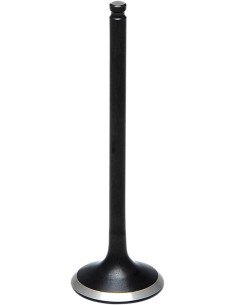 Black Diamond™ Motorventil
