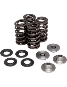 Ventilfeder-Kit