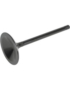 Nitrierte Ventile