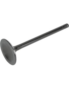 Nitrierte Ventile
