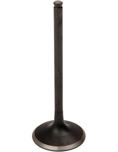Black Diamond™ Motorventil
