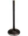 Black Diamond™ Motorventil