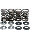 Leichtes Racing-Ventilfeder-Kit