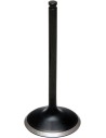 Black Diamond™ Motorventil