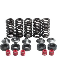 Ventilfeder-Kit