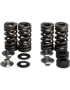Ventilfeder-Kit