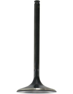 Black Diamond™ Motorventil