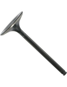 Black Diamond™ Motorventil