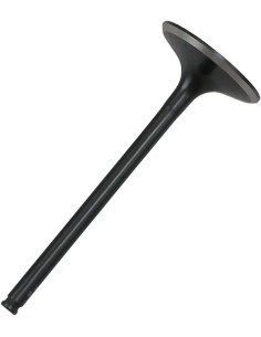 Black Diamond™ Motorventil