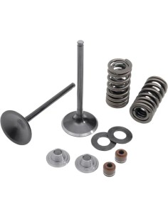 Einlass Edelstahl-Umrüstventil und Feder-Kit