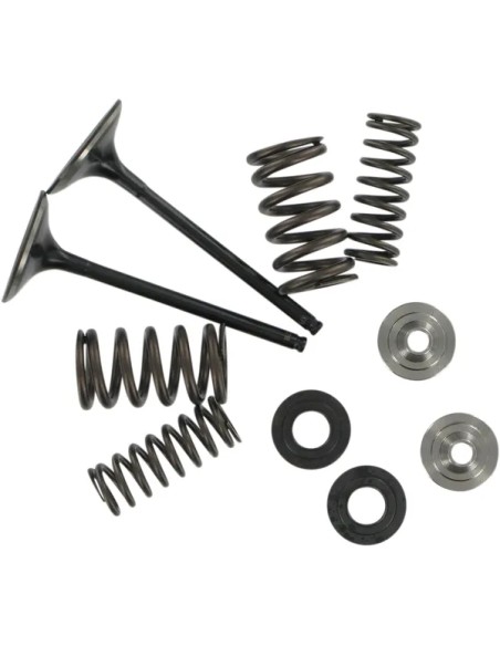 KIBBLEWHITE Ventilsteuerung für KAWASAKI KX 250 F 2004-2016