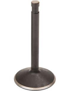 Nitrierte Ventile