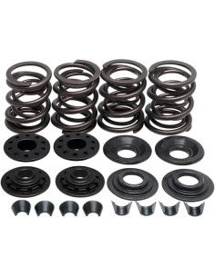 Racing Ventilfeder-Kit