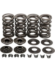 Racing Ventilfeder-Kit