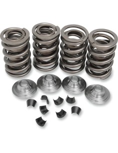 OEM Ersatz-Ventilfedernsatz