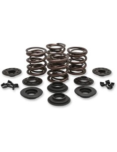 OEM Ersatz-Ventilfedernsatz