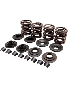 OEM Ersatz-Ventilfedernsatz