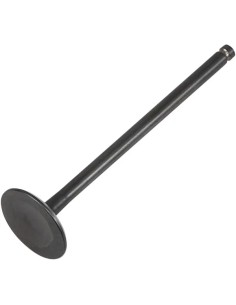 Black Diamond™ Motorventil