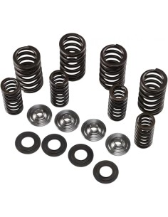 Ventilfeder-Kit