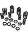 Ventilfeder-Kit