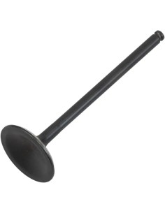 Black Diamond™ Motorventil