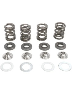 Ventilfeder-Kit