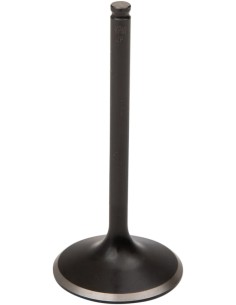Black Diamond™ Motorventil
