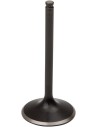 Black Diamond™ Motorventil