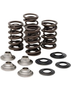 Ventilfeder-Kit