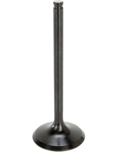 Black Diamond™ Motorventil